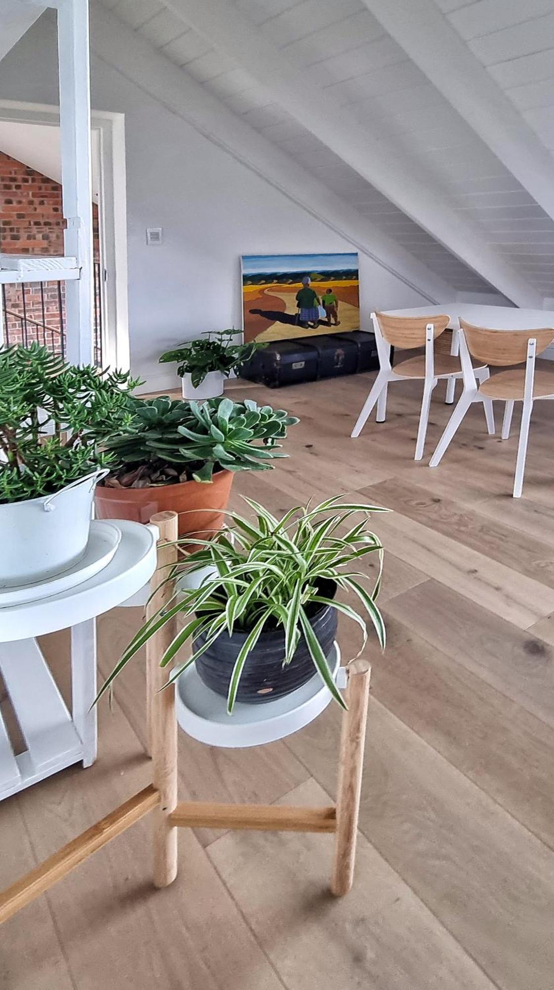 The Dragon Tree Guesthouse كالكباي المظهر الخارجي الصورة