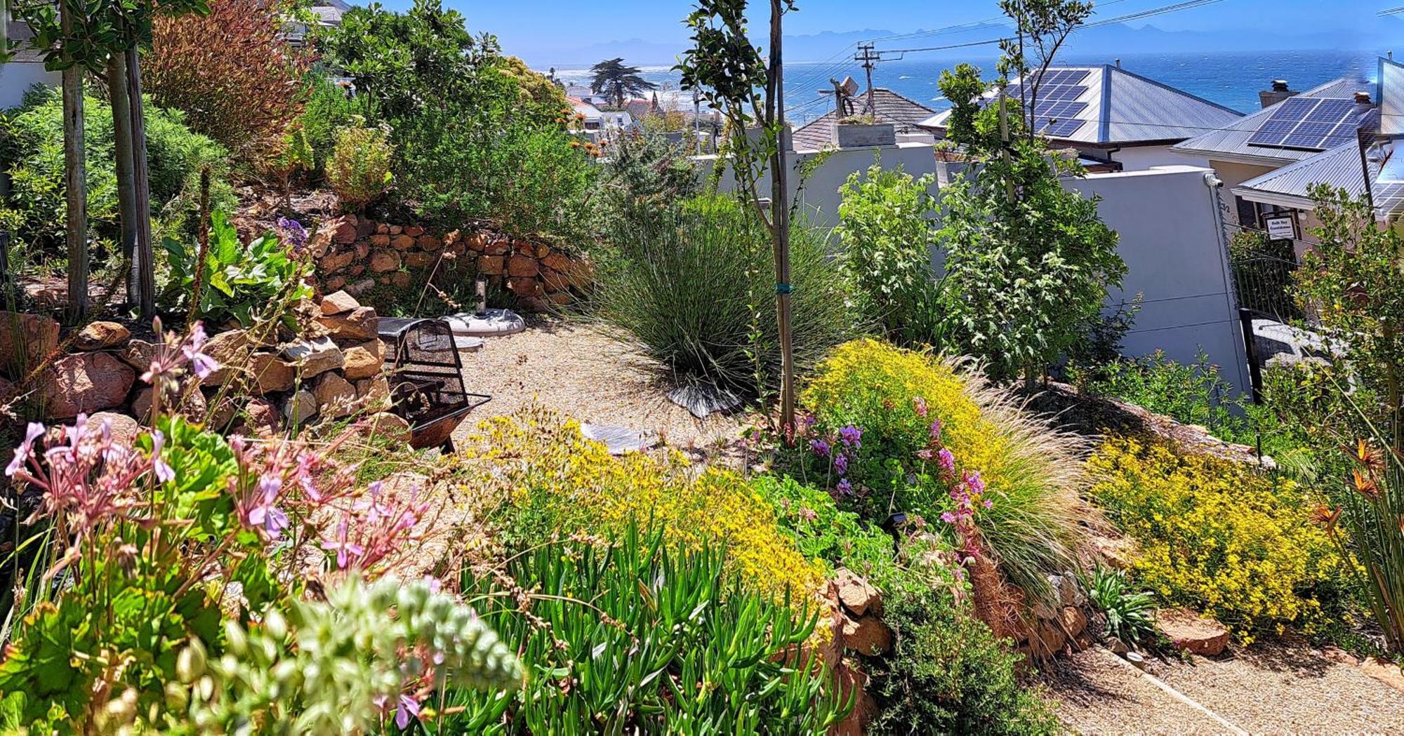 The Dragon Tree Guesthouse كالكباي المظهر الخارجي الصورة